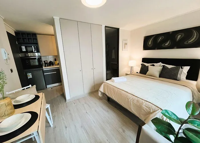Hom I Luminoso Y Acogedor Studio 2Pax En Santiago